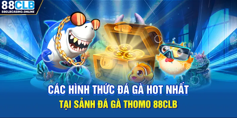 Đá Gà Thomo - Chuyên Mục Giải Trí Đẳng Cấp Nhất 2026 - ripg