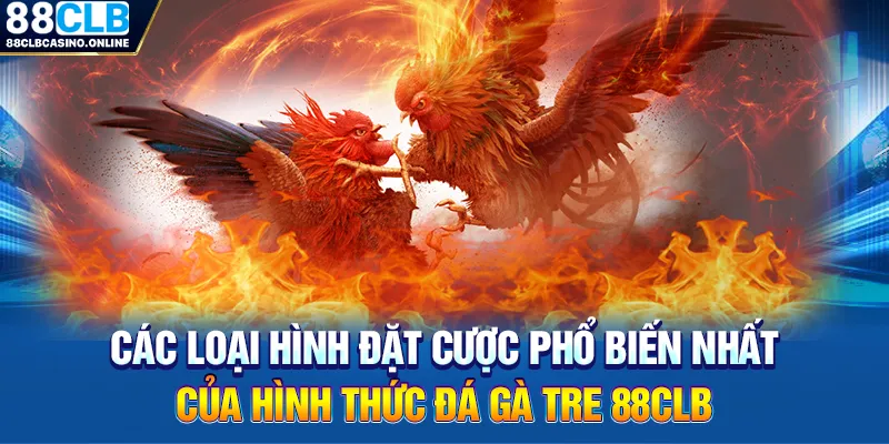 Đá Gà Tre - Hình Thức Giải Trí Hấp Dẫn Số 1 Hiện Nay - ripg