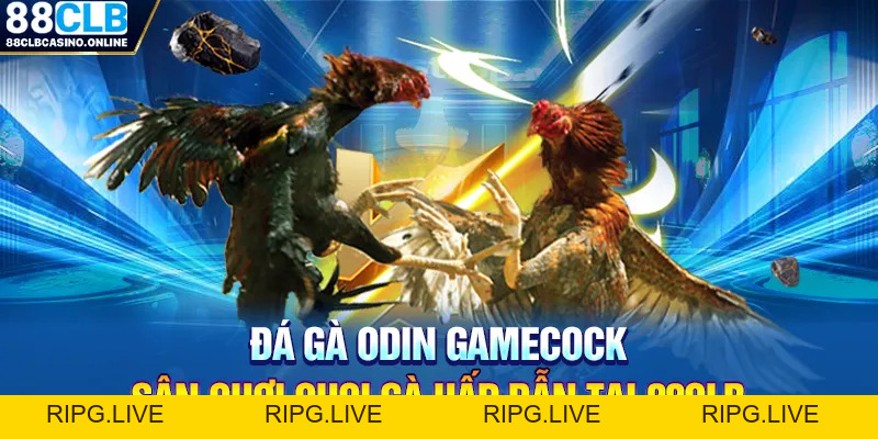 Đá Gà Odin GameCock - Sân Chơi Chọi Gà Hấp Dẫn Tại 88CLB - ripg