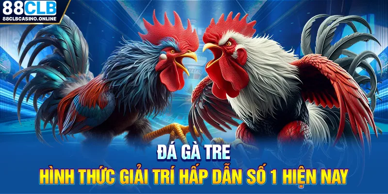 Đá Gà Tre - Hình Thức Giải Trí Hấp Dẫn Số 1 Hiện Nay - ripg