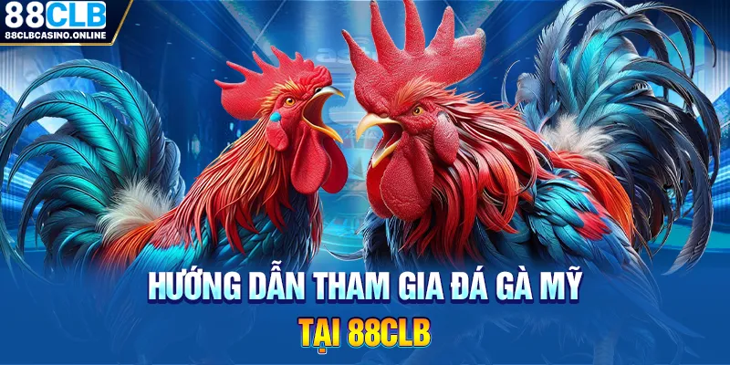 Trải Nghiệm Cá Cược Kịch Tính Cùng Đá Gà Mỹ 88CLB - ripg