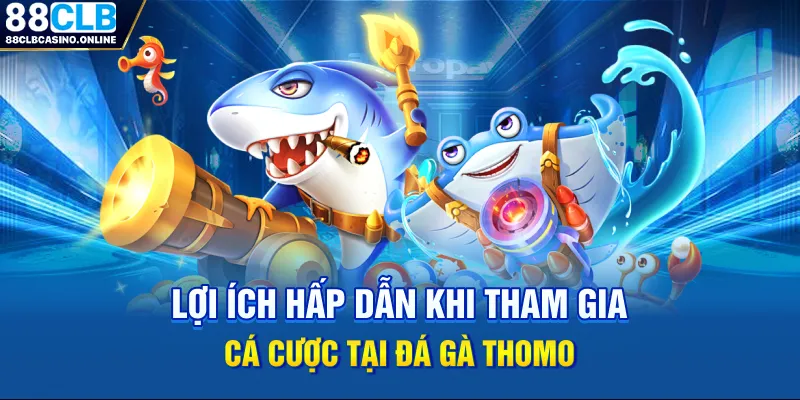 Đá Gà Thomo - Chuyên Mục Giải Trí Đẳng Cấp Nhất 2026 - ripg