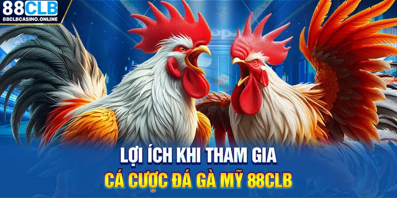 Trải Nghiệm Cá Cược Kịch Tính Cùng Đá Gà Mỹ 88CLB - ripg