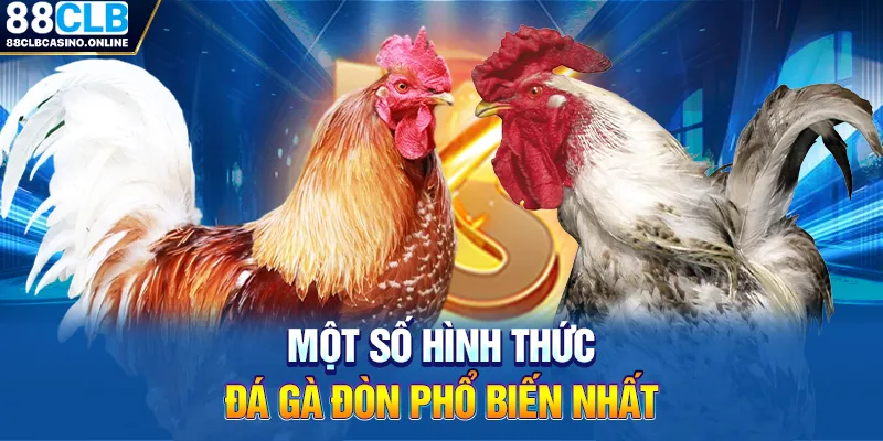 Trải Nghiệm Đá Gà Đòn Đỉnh Cao Tại 88CLB - ripg