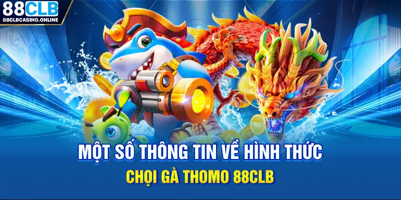 Đá Gà Thomo - Chuyên Mục Giải Trí Đẳng Cấp Nhất 2026 - ripg