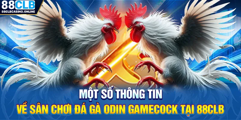 Đá Gà Odin GameCock - Sân Chơi Chọi Gà Hấp Dẫn Tại 88CLB - ripg