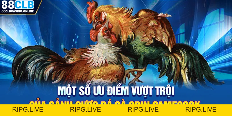 Đá Gà Odin GameCock - Sân Chơi Chọi Gà Hấp Dẫn Tại 88CLB - ripg