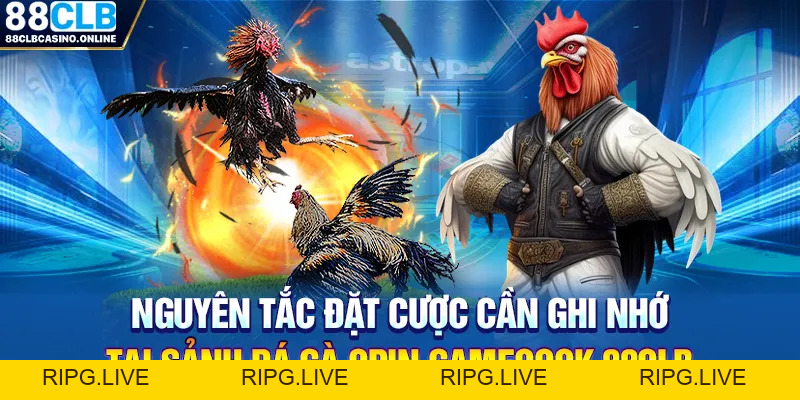 Đá Gà Odin GameCock - Sân Chơi Chọi Gà Hấp Dẫn Tại 88CLB - ripg