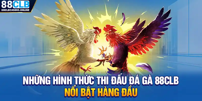 Đá Gà 88CLB: Sàn Đấu Quy Tụ Những Chiến Kê Mạnh Mẽ - ripg