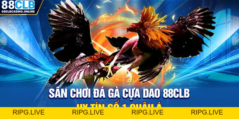 Sân Chơi Đá Gà Cựa Dao 88CLB Uy Tín Số 1 Châu Á - ripg