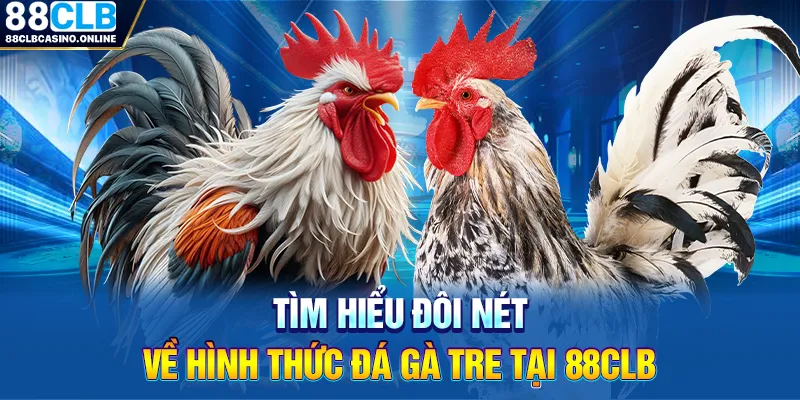 Đá Gà Tre - Hình Thức Giải Trí Hấp Dẫn Số 1 Hiện Nay - ripg