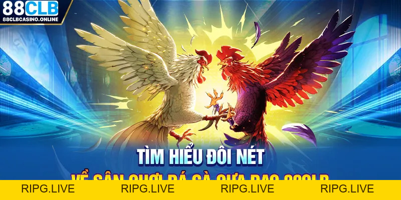 Sân Chơi Đá Gà Cựa Dao 88CLB Uy Tín Số 1 Châu Á - ripg