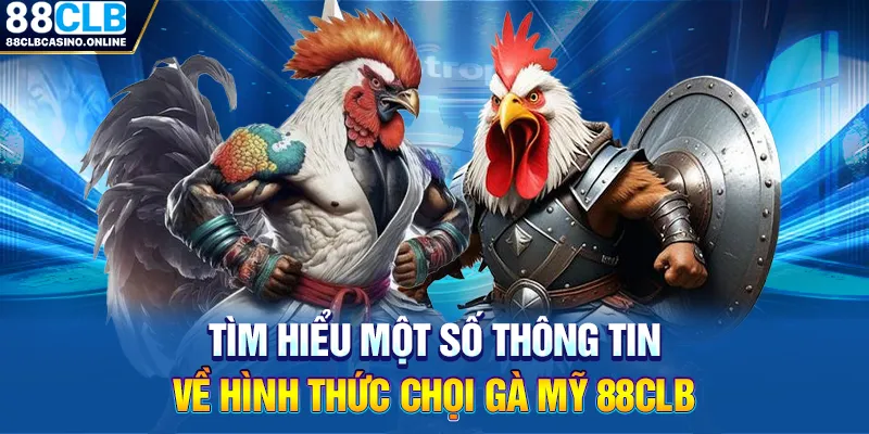 Trải Nghiệm Cá Cược Kịch Tính Cùng Đá Gà Mỹ 88CLB - ripg
