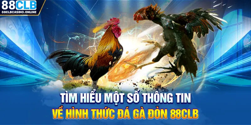 Trải Nghiệm Đá Gà Đòn Đỉnh Cao Tại 88CLB - ripg