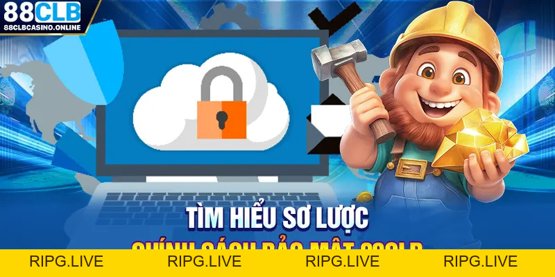 Chính Sách Bảo Mật 88CLB - Thông Tin Hội Viên Cần Biết - ripg