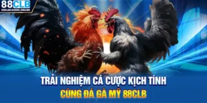 Đá Gà 88CLB: Sàn Đấu Quy Tụ Những Chiến Kê Mạnh Mẽ - ripg