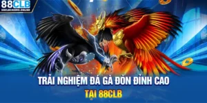 Đá Gà 88CLB: Sàn Đấu Quy Tụ Những Chiến Kê Mạnh Mẽ - ripg
