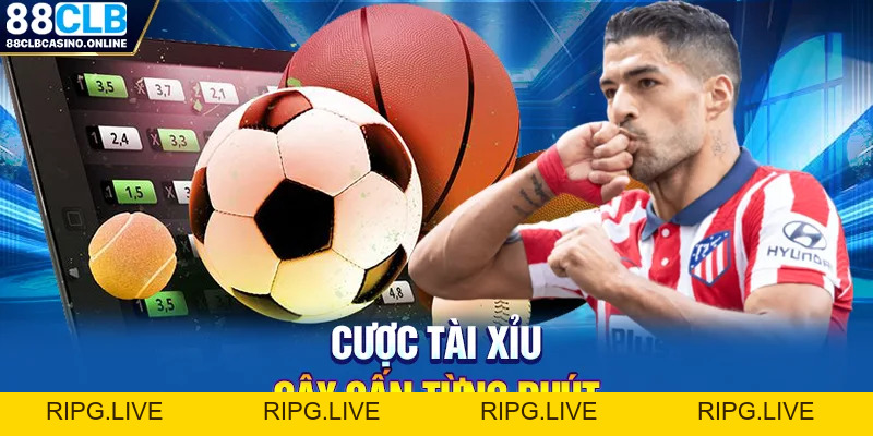 Tỷ Lệ Kèo Nhà Cái | Khám Phá Những Tỷ Lệ Hấp Dẫn Nhất - ripg